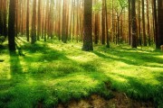 世界登山青年导师生态修复项目第79批结项成果发布，中国登山协会青少年委员会