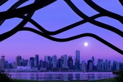 世界电子竞技运动员公约2026年版发布 强调身心健康，世界电子竞技锦标赛